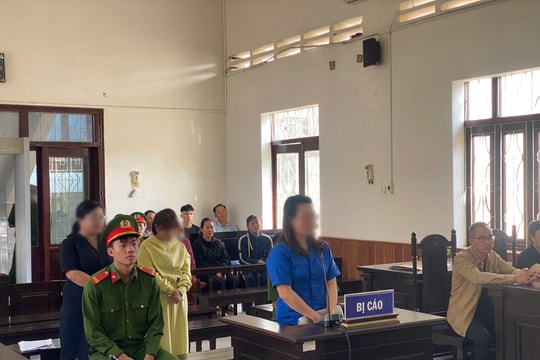 Làm giả sổ đỏ để cầm cố, chiếm đoạt tài sản