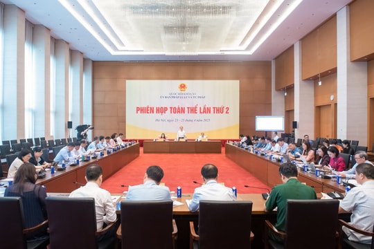 Thẩm tra bước đầu Dự án Luật sửa đổi, bổ sung một số điều của Luật Tổ chức Tòa án nhân dân