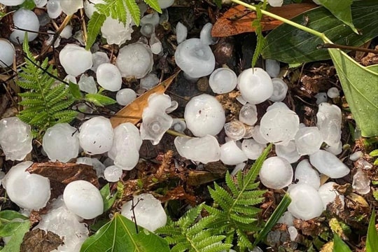 Hà Giang: Mưa đá trắng trời, phủ kín mặt đường