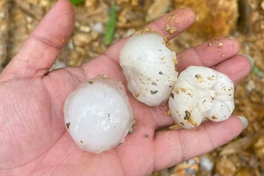 Mưa đá gây thiệt hại về nhà cửa và hoa màu tại Hà Giang