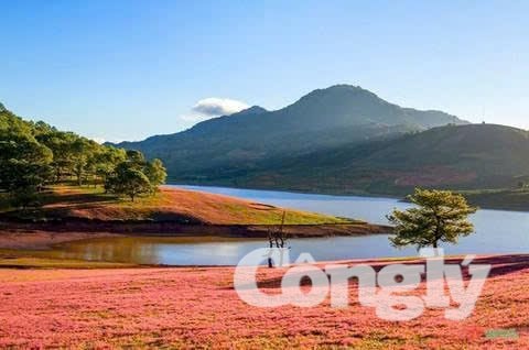 Tích cực hưởng ứng Cuộc thi "Việt Nam qua ống kính nhiếp ảnh gia quốc tế"