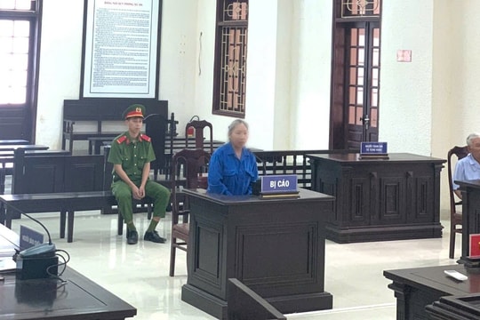 Người phụ nữ đầu độc mẹ kế lĩnh án