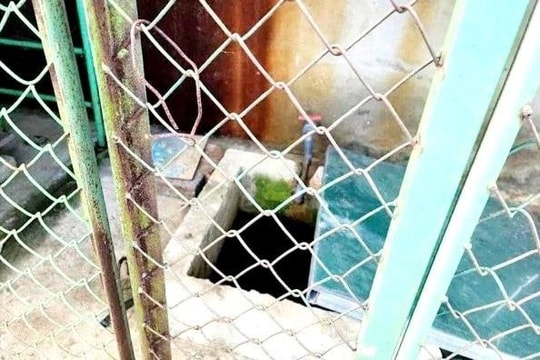 Bé trai 5 tuổi tử vong dưới bể chứa nước của nhà trường