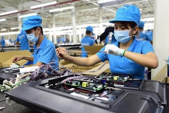 Phát triển từng ngành để tạo sức bật cho kinh tế tư nhân