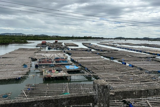 Thanh Hóa: Tích cực tháo dỡ bè, mảng nuôi trồng thủy sản trái phép