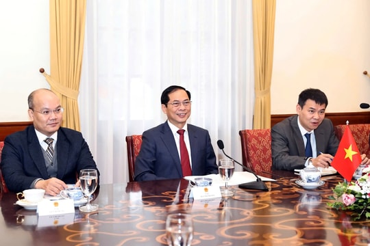 Tiếp tục huy động người Việt Nam ở nước ngoài phát triển kênh phân phối hàng Việt