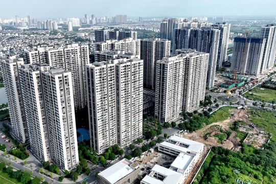 75% căn hộ tồn kho là dòng hạng sang