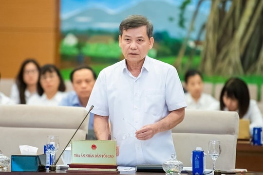 TANDTC trình Ủy ban Thường vụ Quốc hội dự án Luật Sửa đổi, bổ sung một số điều của Luật Tổ chức Tòa án nhân dân