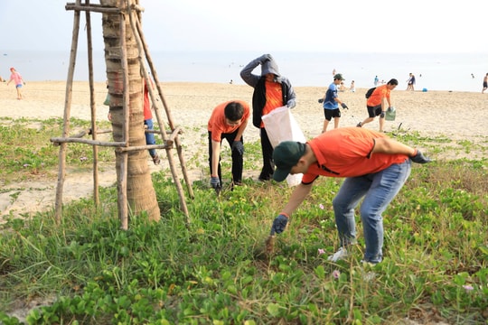 Lan tỏa thông điệp xanh từ Ngày hội môi trường biển