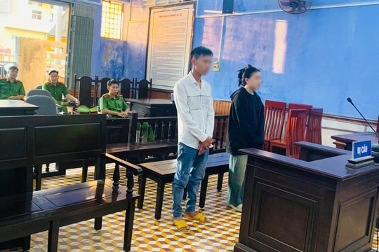 Môi giới em gái bán dâm, 2 bị cáo lĩnh án