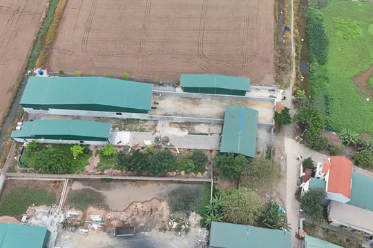 Thị trấn Phú Xuyên, Hà Nội: Nhiều công trình ngang nhiên “mọc” đất nông nghiệp trong thời điểm sắp sáp nhập