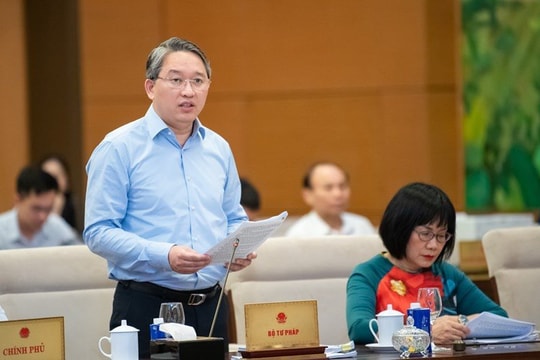 Sẽ tăng mức phạt tiền trong một số lĩnh vực