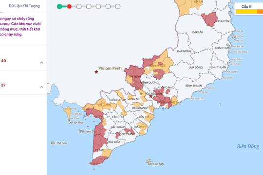 Nắng nóng kéo dài, 'cảnh báo đỏ' về nguy cơ cháy rừng tại Nam Bộ và Tây Nguyên