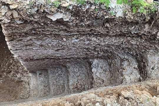 Khai quật khảo cổ di tích Quỳnh Văn