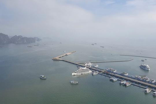 Vịnh Hạ Long hấp dẫn khách quốc tế