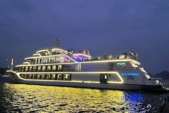 Dịp lễ 30/4 – 1/5 này, cùng Sea Octopus ngắm hoàng hôn tuyệt mỹ tại Hạ Long