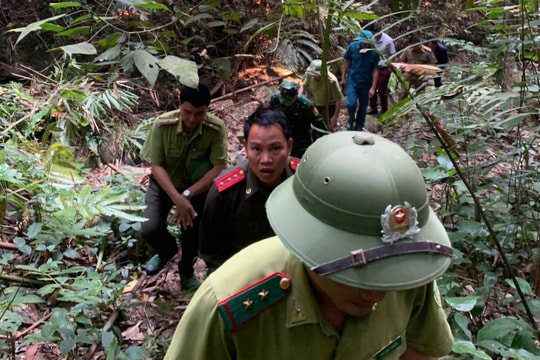 Thanh Hóa tăng cường bảo vệ rừng giữa nắng nóng
