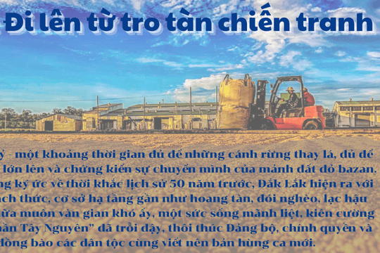 Bài 3: Đi lên từ tro tàn chiến tranh