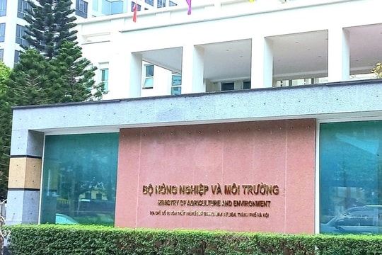 Không đưa tên, nhiệm vụ và quyền hạn cụ thể của bộ ngành vào Luật