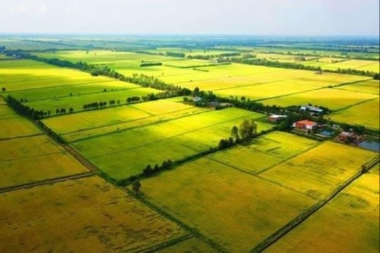 Rà soát quy định trong lĩnh vực đất đai khi tổ chức chính quyền địa phương hai cấp