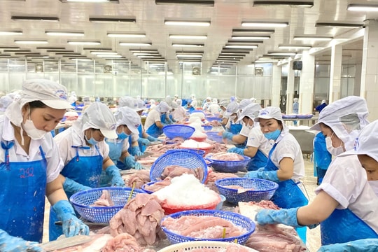 Thủy sản tăng trưởng, đối mặt thuế Mỹ