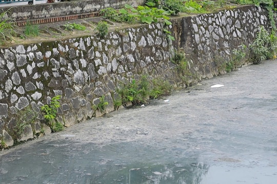 Kênh hào thành cổ ô nhiễm nghiêm trọng: Đơn vị quản lý nói gì?