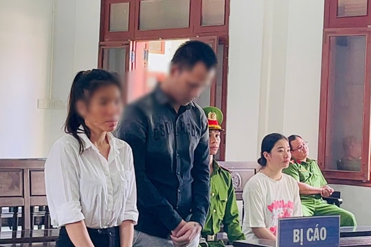 Môi giới mại dâm, vợ chồng hờ lĩnh 19 năm tù