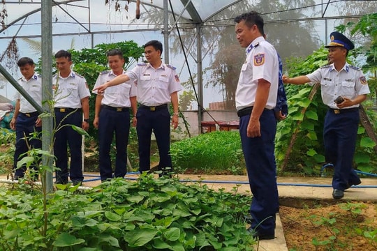 Đẩy mạnh tăng gia sản xuất, nâng cao đời sống bộ đội