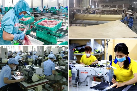 Doanh nhân Việt Nam: Từ kiếm tìm lợi nhuận đến sứ mệnh quốc gia