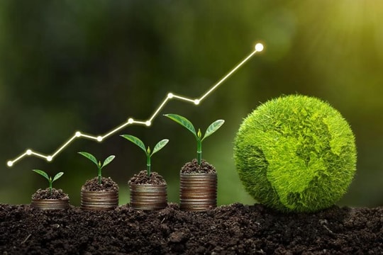 Đầu tư xanh của khu vực tư nhân Việt Nam đạt hơn 160 triệu USD