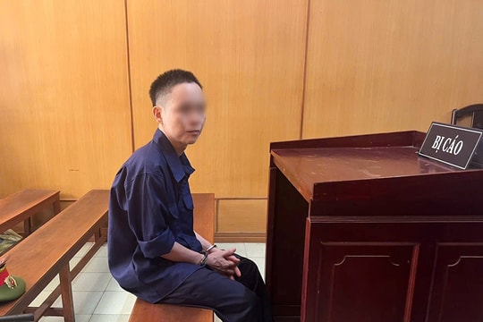 Bất chấp quy định, Giám đốc nhập khẩu hàng loạt lô hàng cấm