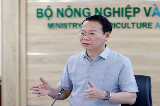 Bộ Nông nghiệp và Môi trường họp khẩn, tìm giải pháp giữ vững thị trường sầu riêng