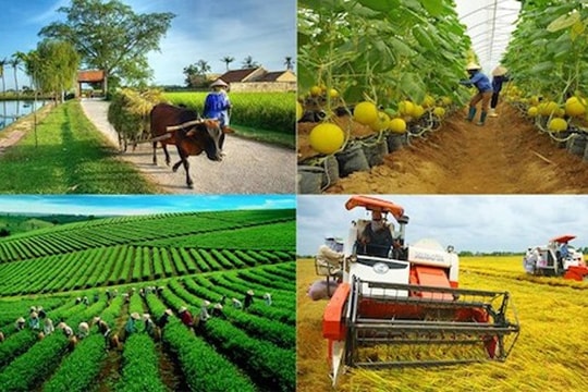 Sản xuất nông, lâm nghiệp ghi nhận sự tăng trưởng khởi sắc
