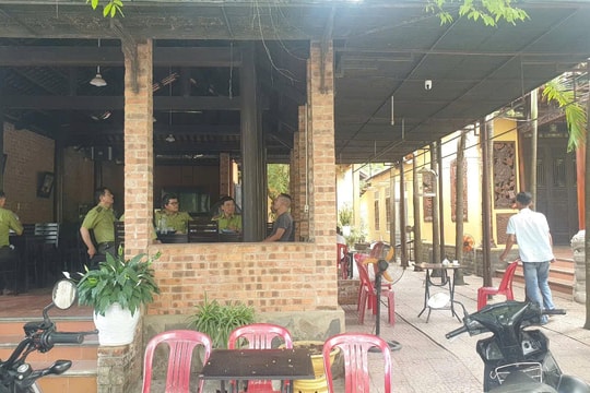 Kiểm tra, xử lý các địa điểm cà phê và mua bán chim cảnh