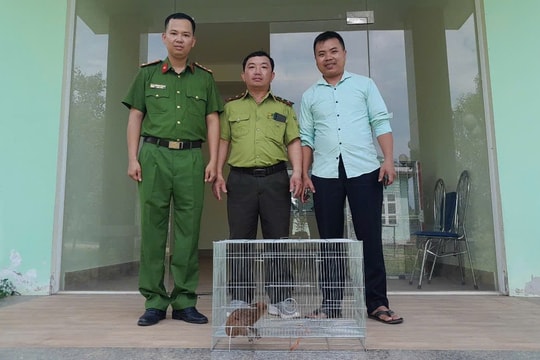 Nhiều động vật hoang dã được người dân giao nộp