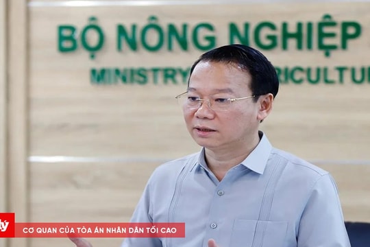 Gỡ "nút thắt" cho sầu riêng xuất khẩu: Không thể mãi tăng trưởng bằng cảm tính