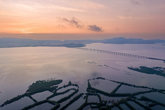 Bình Định nghiên cứu dùng cát nhiễm mặn san nền do thiếu hụt cát xây dựng