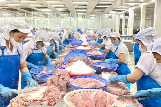 Thủ tướng yêu cầu bảo đảm sản xuất, tiêu thụ, xuất khẩu nông lâm thủy sản