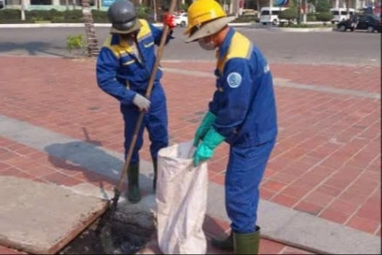 Xác định nguyên nhân mùi hôi ven biển Mỹ Khê