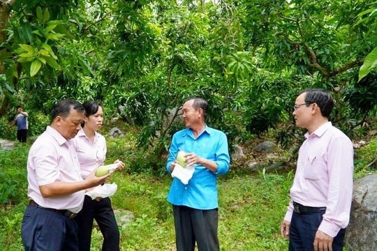 Nguồn vốn giúp người có thu nhập thấp an cư, lạc nghiệp