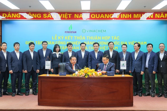 Petrovietnam tiên phong thúc đẩy hợp tác, nâng cao năng lực cạnh tranh quốc gia