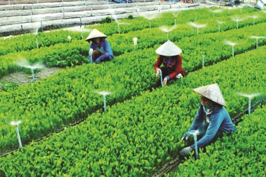 "Nút thắt" nào đang kìm hãm đà phát triển kinh tế tập thể, Hợp tác xã?