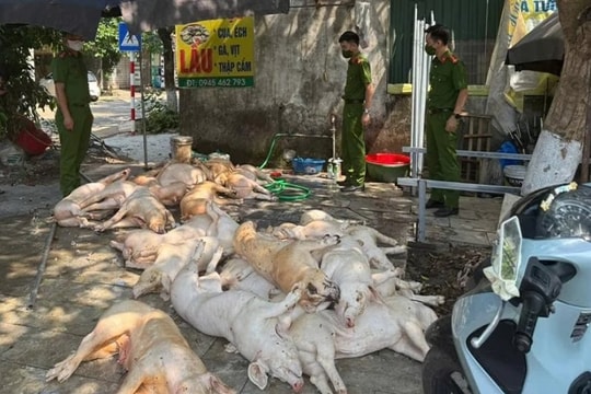 Phát hiện hơn 1 tấn thịt lợn "bẩn" chuẩn bị đưa vào bếp ăn