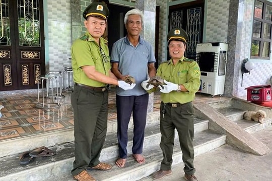 Nhiều người dân tự nguyện bàn giao động vật quý hiếm