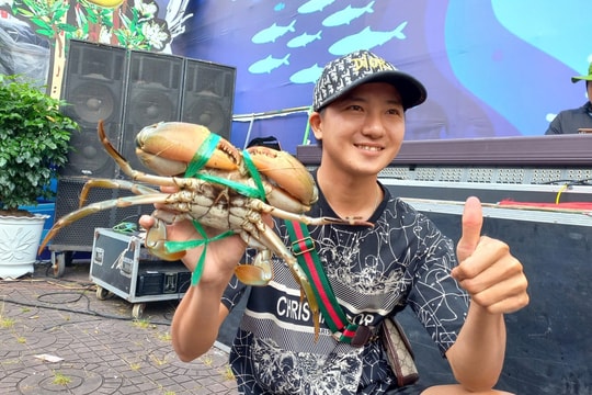 Nhiều hoạt động đặc sắc tại Ngày hội cua Cà Mau lần 2 năm 2025