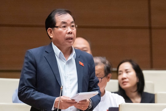 ĐBQH kiến nghị HĐND không bầu chức danh Chủ tịch UBND tỉnh