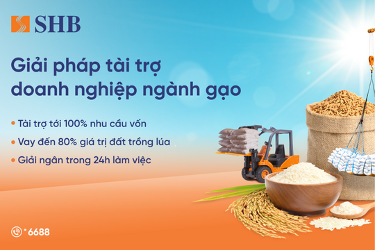 SHB ra mắt giải pháp tài trợ linh hoạt cho ngành gạo