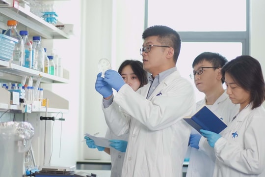 Từ 15/6, Chuyên gia cao cấp được ưu đãi ra sao?