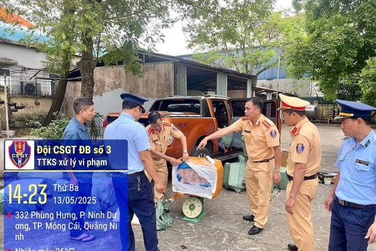 Liên tiếp phát hiện các vụ vận chuyển thực phẩm không rõ nguồn gốc