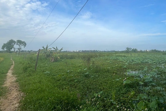 Dự án Thành phố giáo dục quốc tế Thanh Hóa nhiều năm vẫn nằm im trên giấy